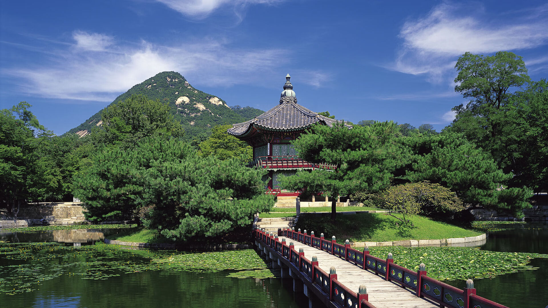 “金牛区城北体育馆:运动舞蹈赛,动感舞步与精湛技巧相结合,挑战自我极限!”