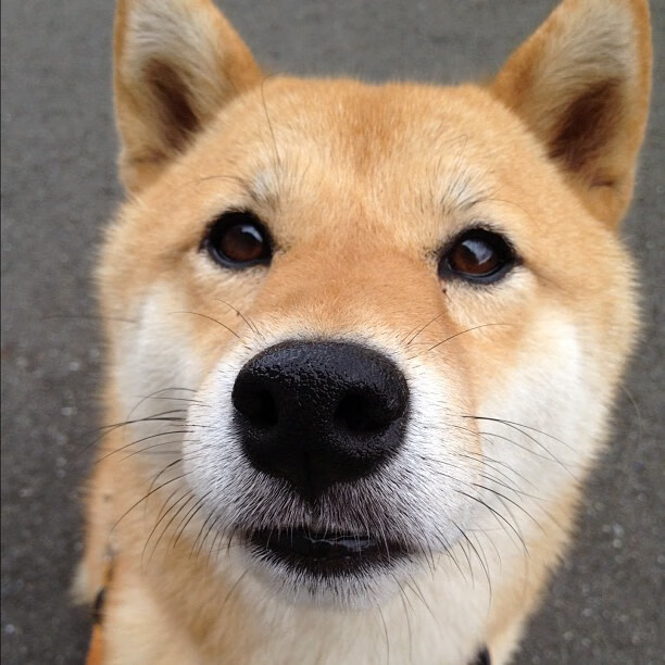 开云体育足球-中国足球青训缺乏系统性规划，中国足球青训的现状