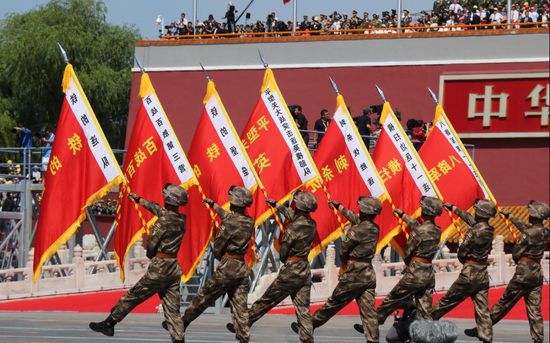 女子蛙泳滑行长度榜单公布,蛙泳女子世界纪录