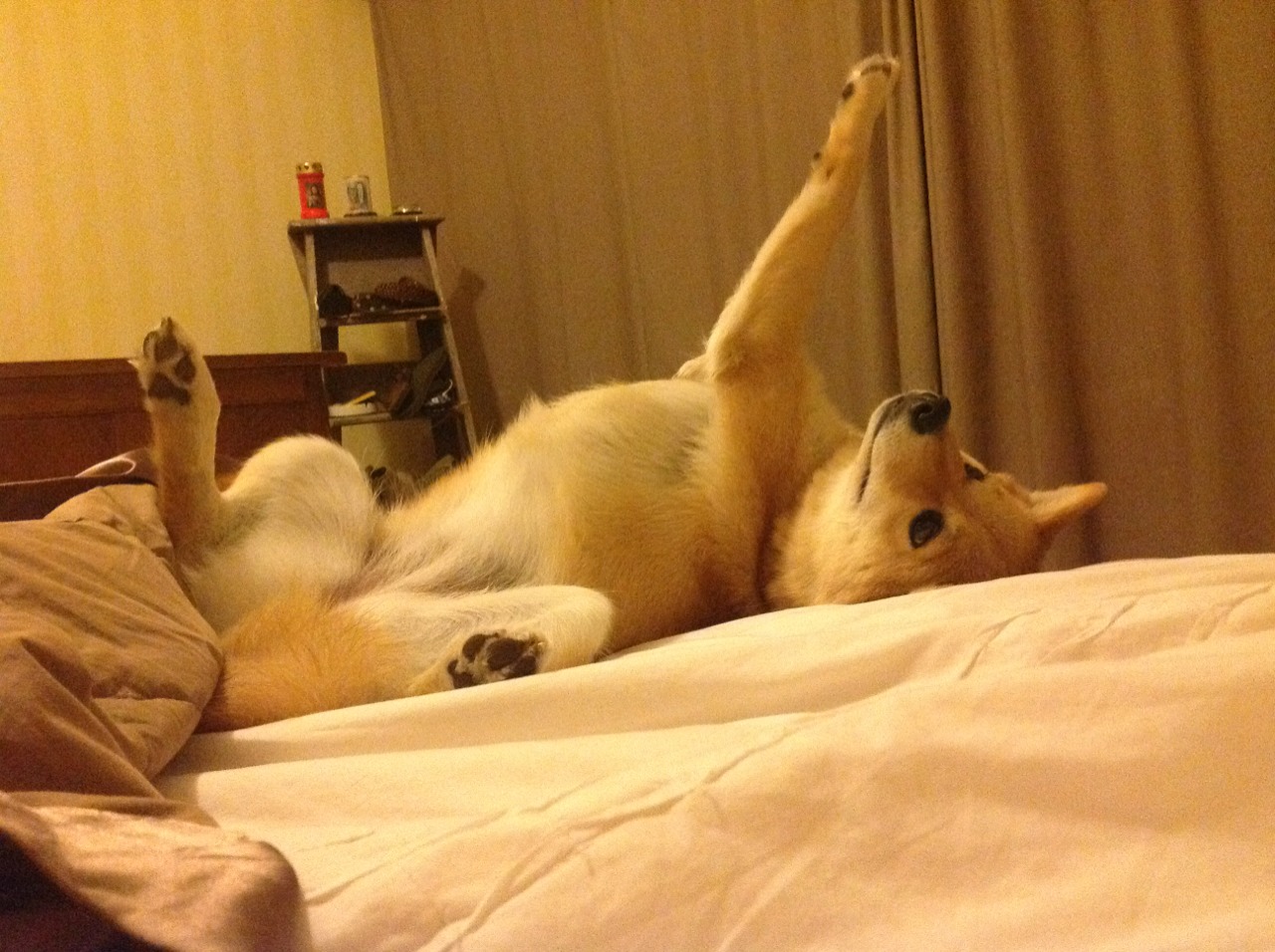 恩波利多点传切打破场面平衡制造进球,恩波利对博洛尼亚比分预测