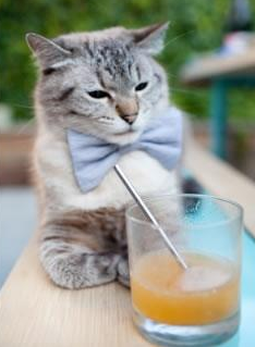 开云体育官网登入-教练组与球员关系密切，促进团队凝聚力，专业的教练员团队