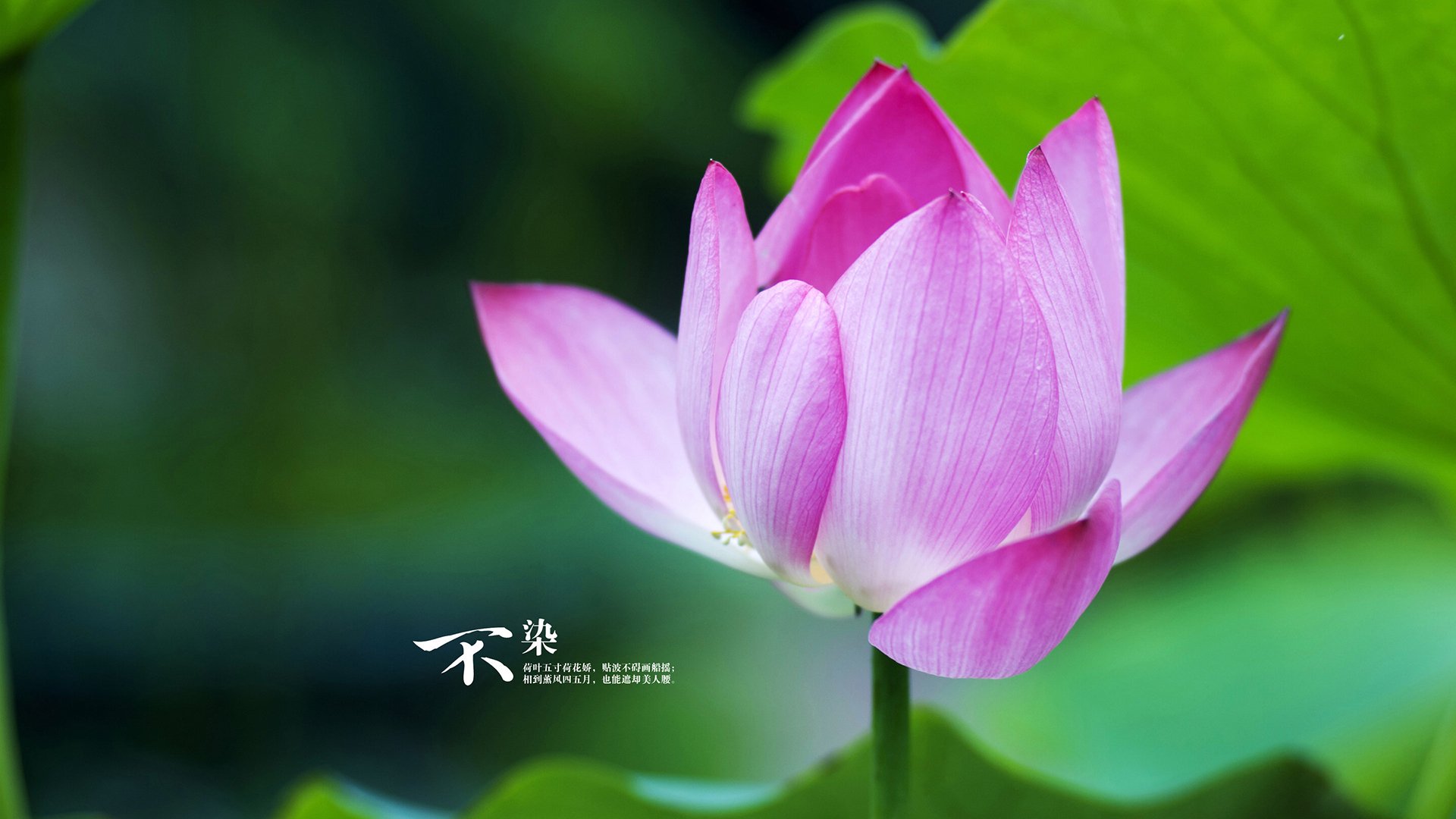 开云官方网-中国篮协推动俱乐部文化建设强化球队精神与城市归属，篮球俱乐部梯队建设