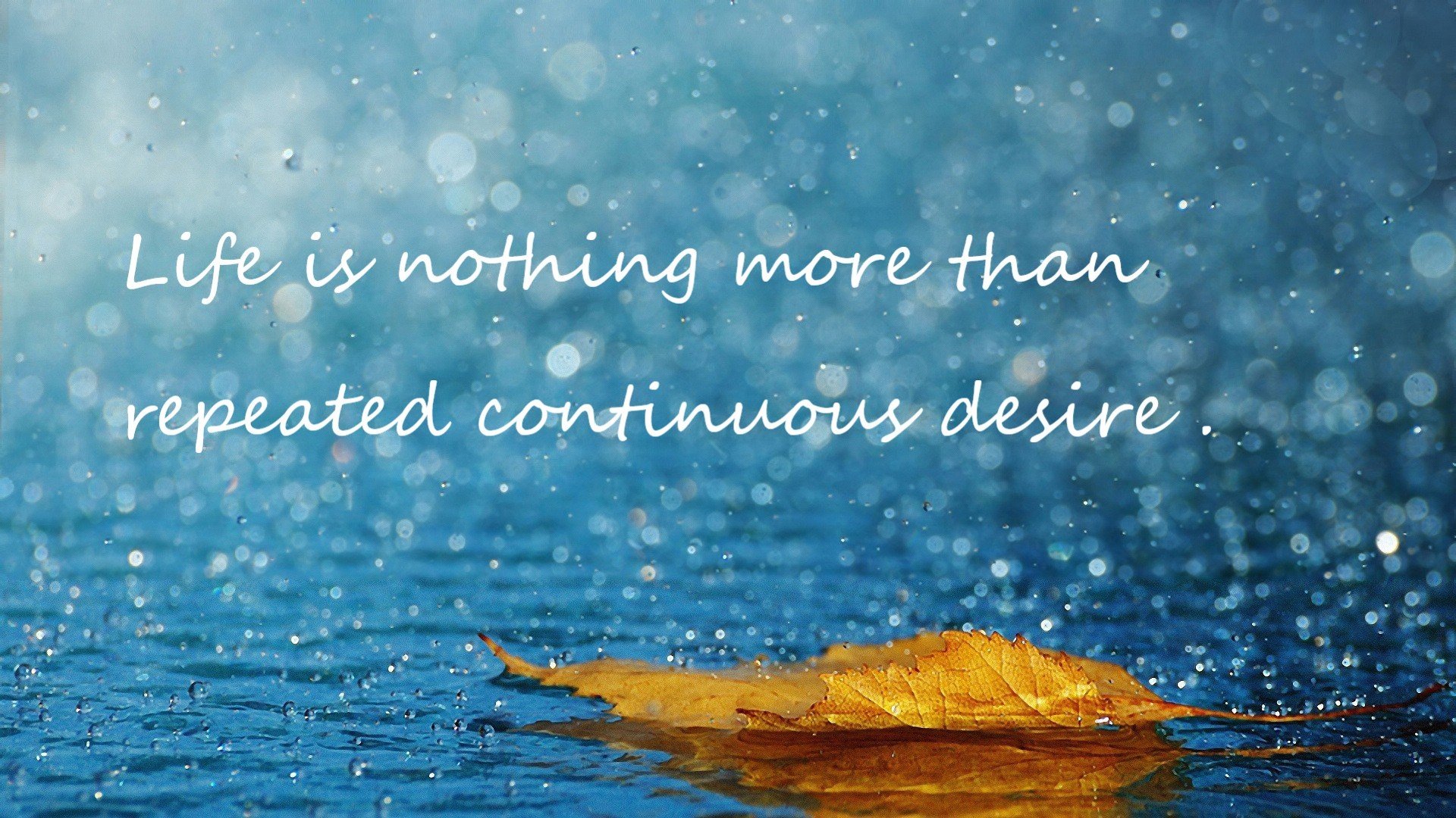 伊丽莎白·德克斯泳池内外双重突破,伊丽莎白.德比茨